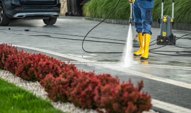 Best Deck Cleaning Services  in Grosse Pointe Farms, MI